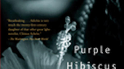 Purple Hibiscus